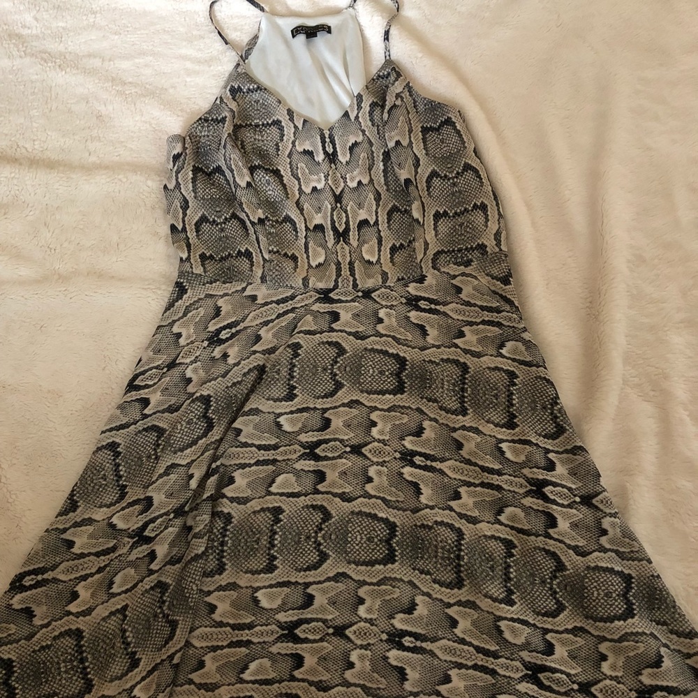 Express snakeskin print dress